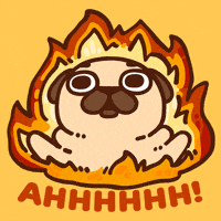 GIF by Puglie Pug