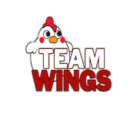 Wings Jumble Sticker by Catch 'N Hatch