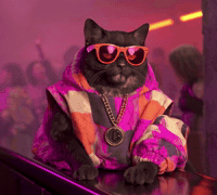 Let It Go Cat GIF by Fugum