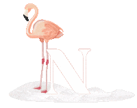 design pink Sticker by Natuzzi