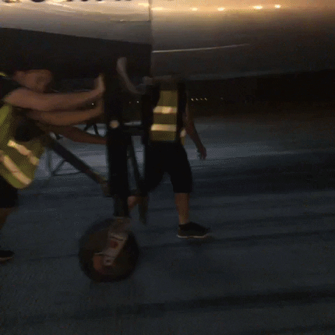live GIF by Solar Impulse
