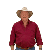 Renovate Channel 9 Sticker by The Block