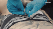 viceland GIF by Needles & Pins