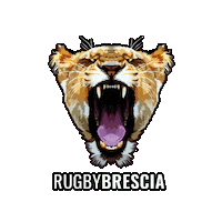 rugbybrescia  Sticker
