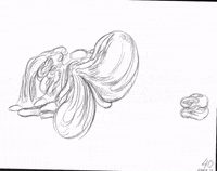 moving real-time GIF by Alex Boya