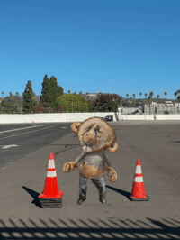 Animation Orange GIF by Alex Boya