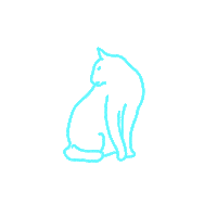 Cat Kitty Sticker by sgnightfest