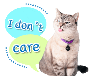 Cat Meow Sticker
