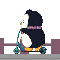 On My Way Fun Sticker by Pudgy Penguins