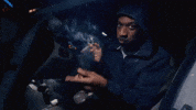 Bruce Ball Hogs GIF by Protect