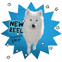 Video Click Sticker