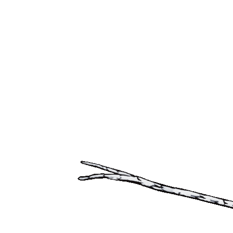 Bird Chickadee Sticker