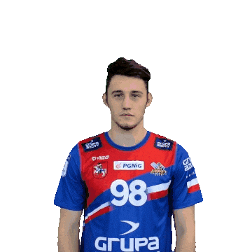 Handball Pgnigsuperliga Sticker by KS Azoty-Puławy S.A.