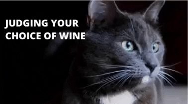 Cat Judging GIF by exoticwinetravel