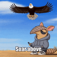 Freedom Soar GIF by Chillo Dillo
