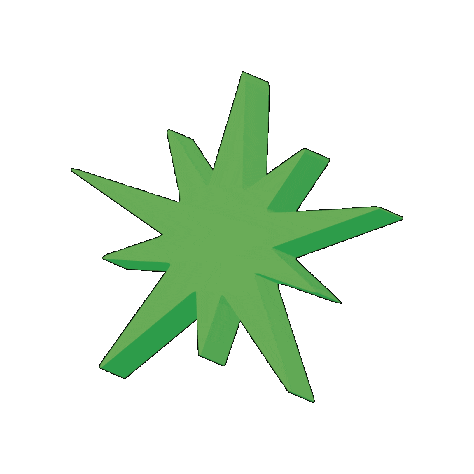 belltigerdesign giphygifmaker star light spin Sticker