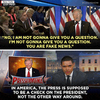 donald trump GIF by The Daily Show with Trevor Noah