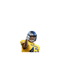 Football Sticker by Helsinki Wolverines