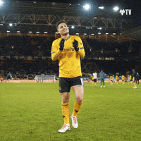 Premier League Thank You GIF by Wolves