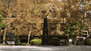 Time Lapse Art GIF by Rochester Institute of Technology