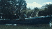 Mark Wahlberg Dog GIF by Lionsgate