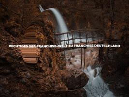 Fun Party GIF by FranchiseONE.de