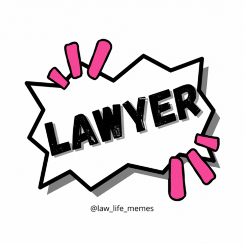 Lawyerstroop law lawyer advocate shaz GIF