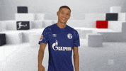 Happy Fc Schalke 04 GIF by Bundesliga