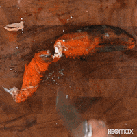 Selena Gomez Cooking GIF by HBO Max