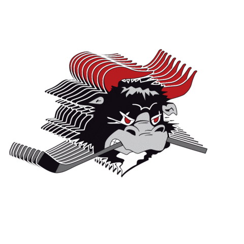 rodovremightybulls giphygifmaker rødovre mightybulls rødovremightybulls Sticker