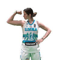 Lisec Sticker by Basketball Federation of Slovenia