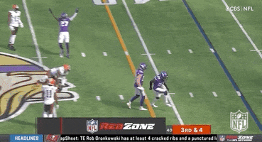 Minnesota Vikings Football GIF by NFL
