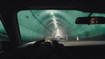 groovy tony schoolboy q GIF