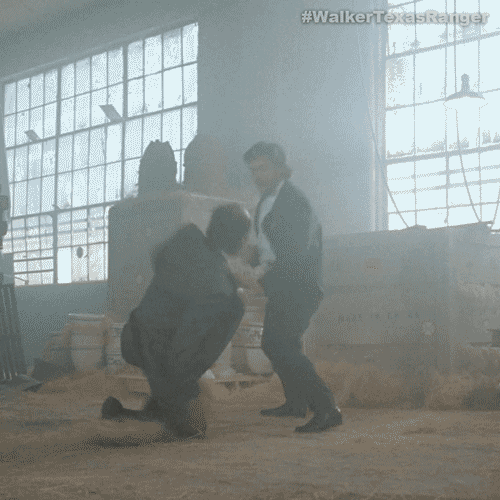 Chuck Norris Fighting GIF by Sony Pictures Television