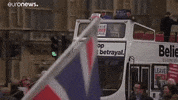 Brexit GIF by euronews