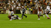Washington Football Team GIF by Washington Commanders