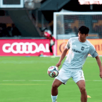Son Heung Min Sonny GIF