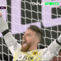 Happy Premier League GIF by Play Sports