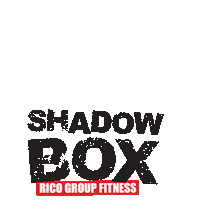 Shadowbox Sticker by RICOgroupfitness