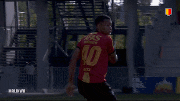 yrkvmechelen scream miss aster frustratie GIF