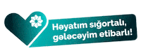 Pasha-life life insurance pasha life paşa həyat həyat sığortası Sticker
