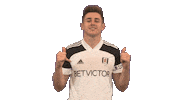 Celebration Goal Sticker by Fulham FC