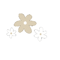 Flowers Flores Sticker by Paul & Nanda