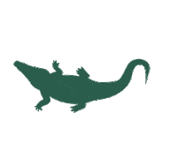 Dragon Crocodile Sticker by A PET STORE