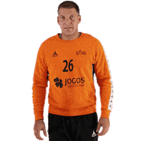 Ehfeuro Sticker by Federação de Andebol de Portugal