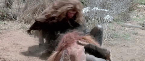 TheRetroCinema giphygifmaker GIF