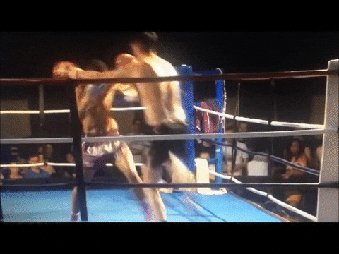 david GIF