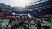 Football Nfl GIF by New England Patriots