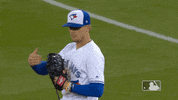 Major League Baseball Sport GIF by MLB