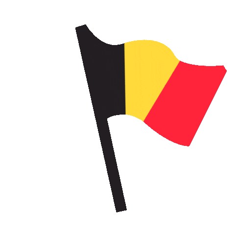 Flag Brussels Sticker by DMU Graphic Design & Illustration